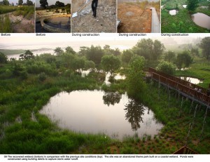 03-wetland-before-and-after-s
